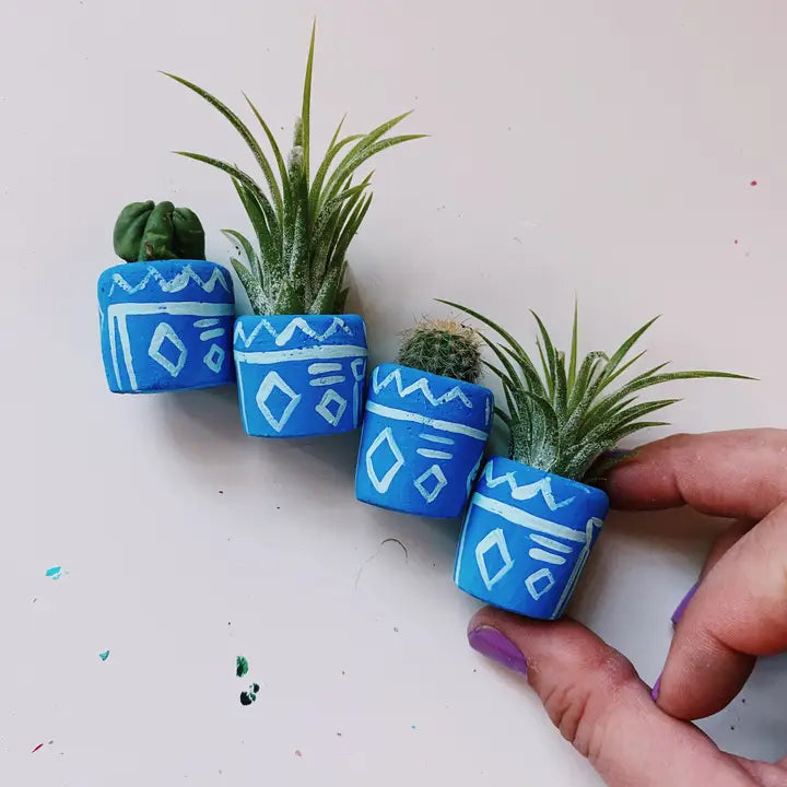 Azul Mini Planter with Air Plant