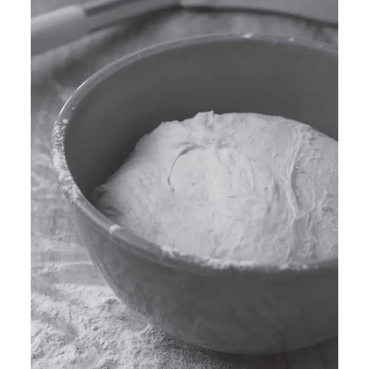 Baking Artisan Bread with Natural Starters