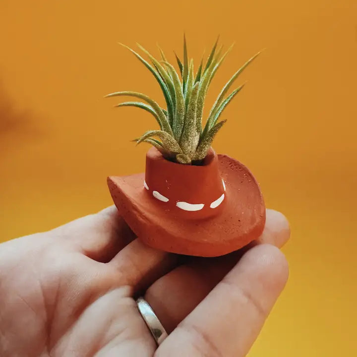 Terracotta Cowboy Hat Mini Planter and Air Plant