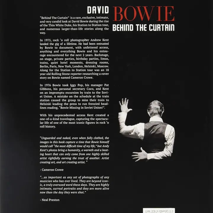 David Bowie: Behind the Curtain