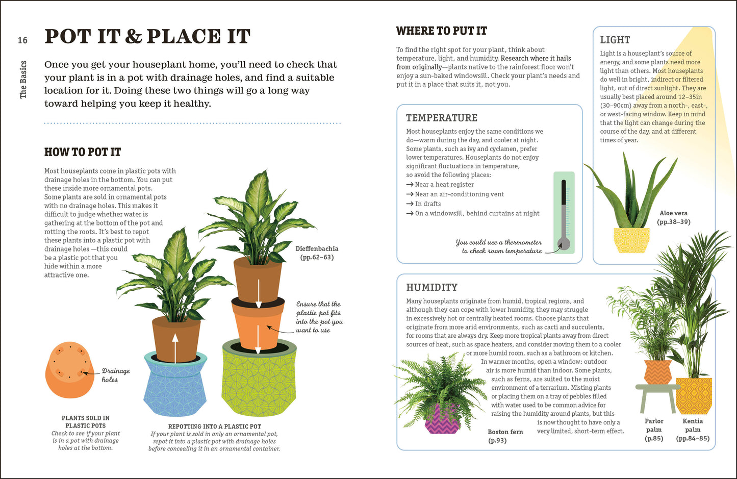 How Not to Kill Your Houseplant