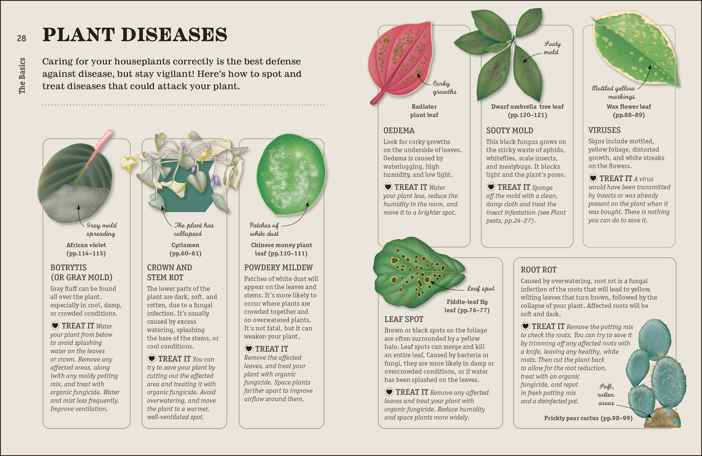 How Not to Kill Your Houseplant