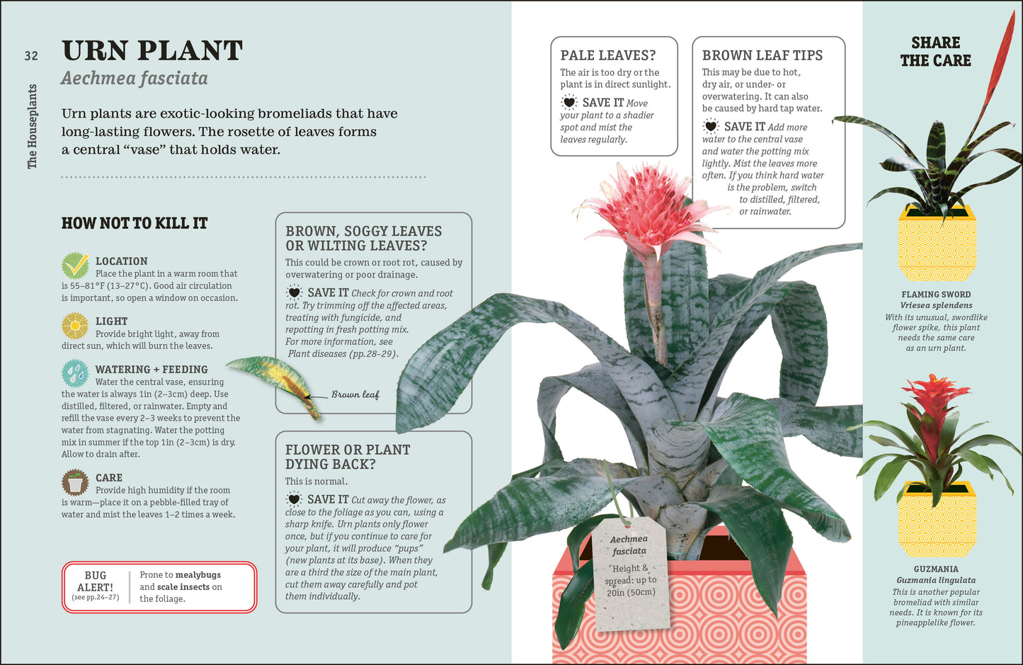 How Not to Kill Your Houseplant