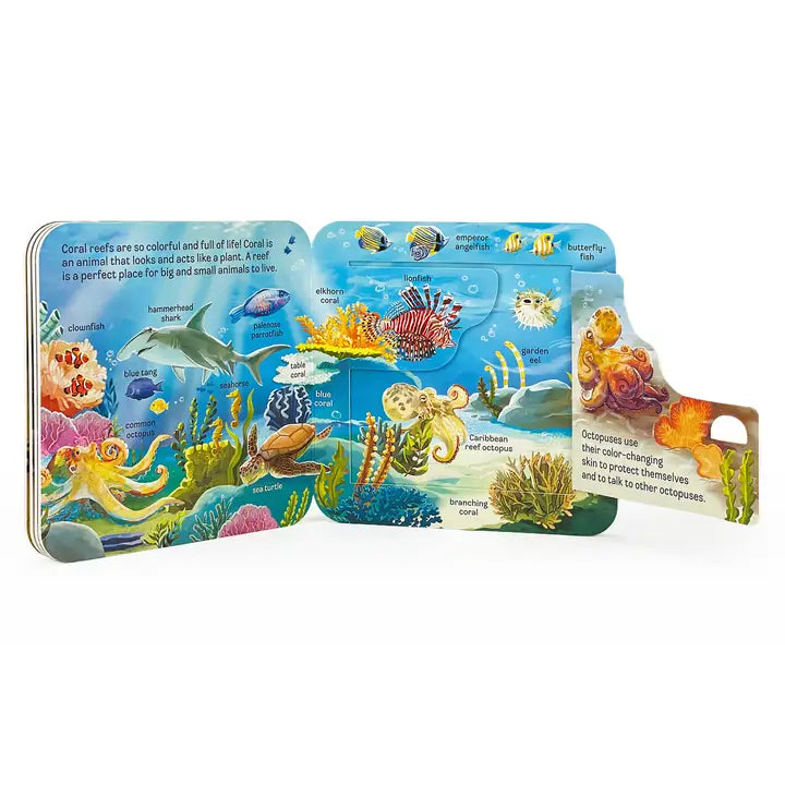 Peek-A-Flap Ocean Board Book