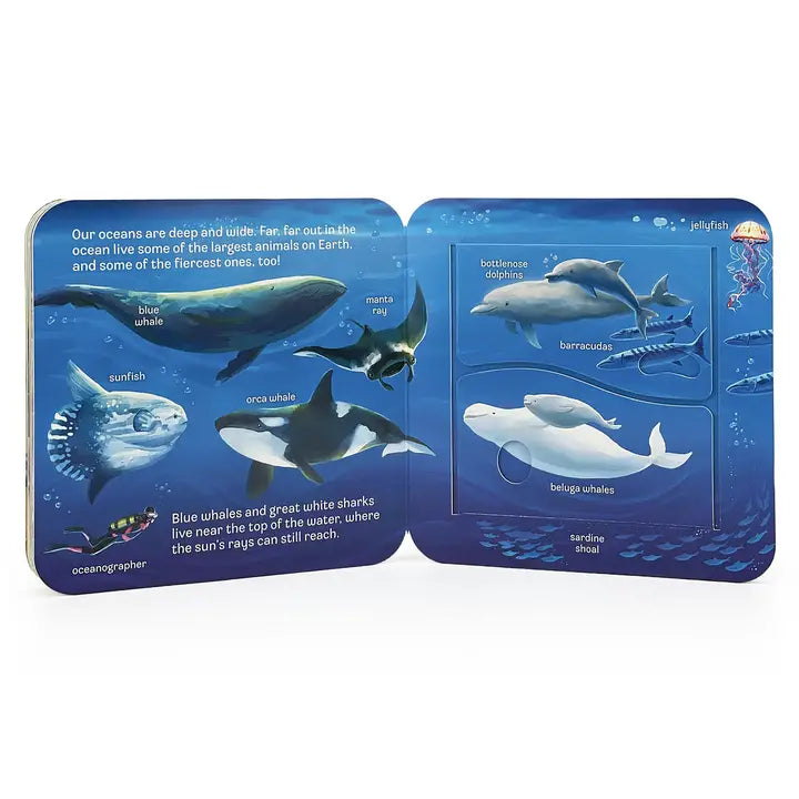 Peek-A-Flap Ocean Board Book